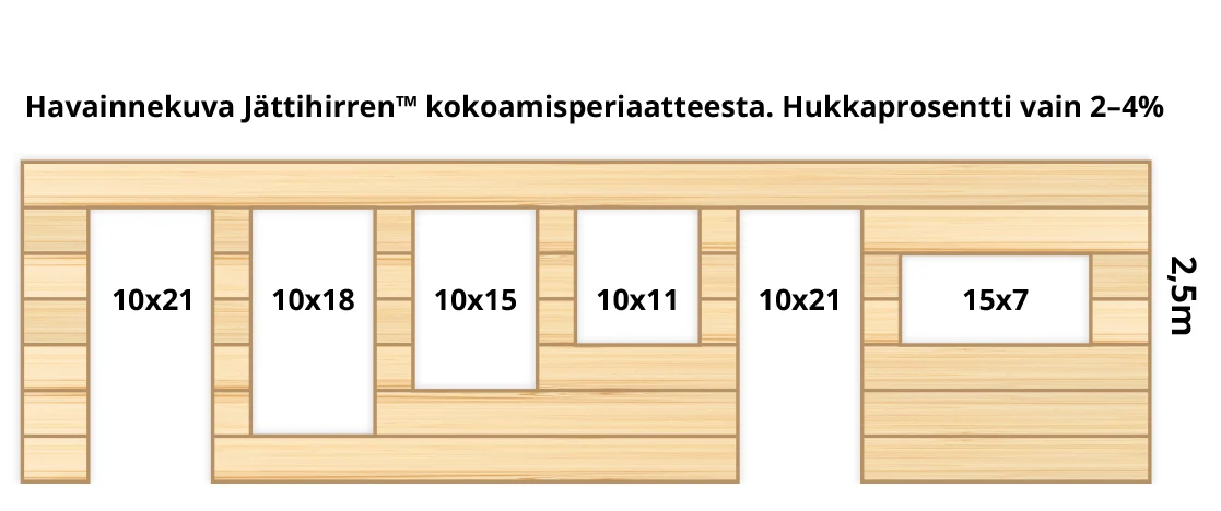 Jattihirsi-havainnekuva-mitat