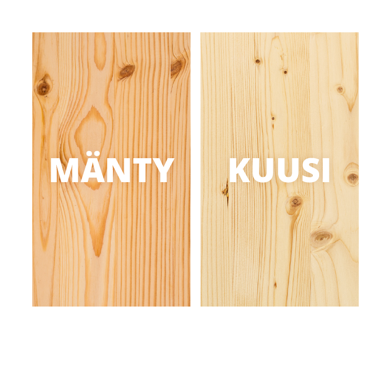 manty-kuusi-1