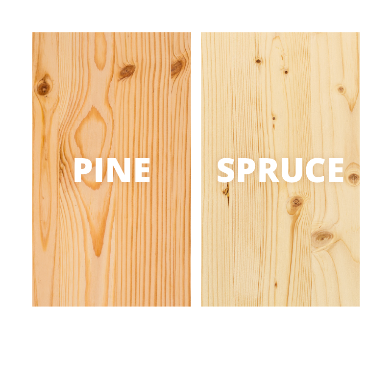pine-spruce-1